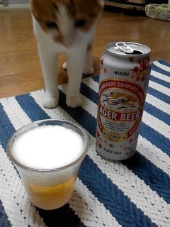 beer.JPG